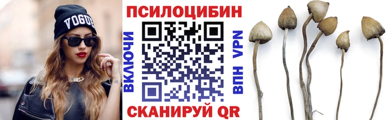 Псилоцибиновые грибы Psilocybine cubensis  Вельск 